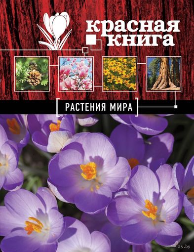 Красная книга. Растения мира. Галина Мелихова ///