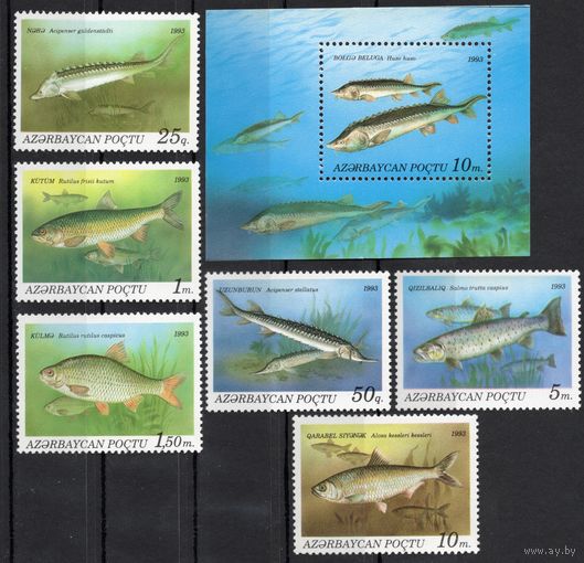 Азербайджан 1993. Фауна. Рыбы. 6 марок+блок (10)