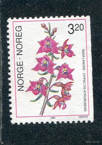 Норвегия. Флора. Пальчатокоренник Фукса