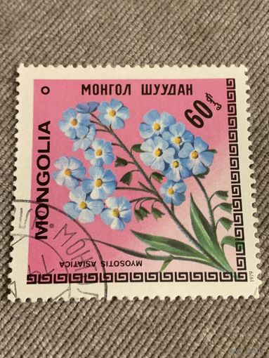 Монголия 1979. Цветы. Myosotis asiatica. Марка из серии