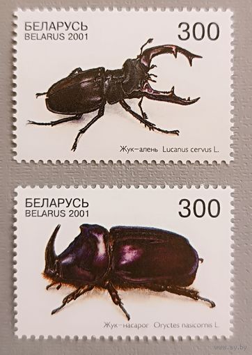 Жуки. Серия, 2001