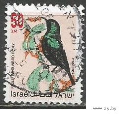 Израиль. Птицы. Скворец стенолаз. 1993г. Mi#1257.
