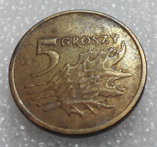 5 грошей 2004 Польша #01