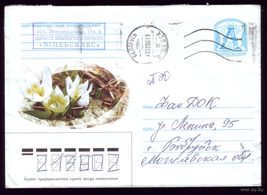 2006 год Кувшинки
