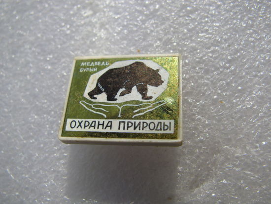 Значок. Охрана природы. Бурый медведь. керамическая вставка