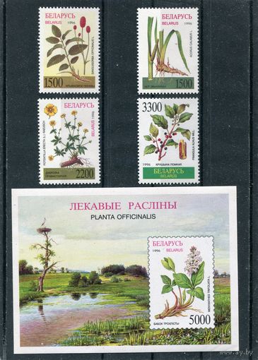Беларусь 1996. Лекарственные растения