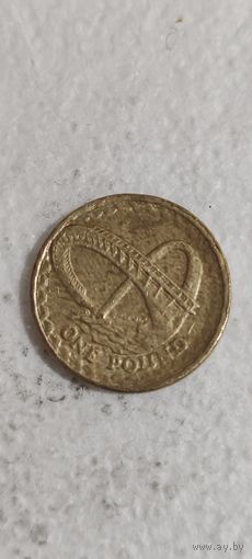 Великобритания 1 фунт 2007
