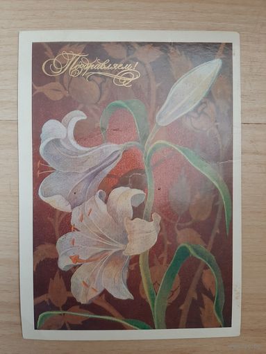 Открытка Поздравляю (СССР  1985 ГОД)