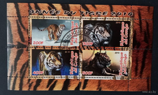 ЛИСТ ФАУНА животные  СТО