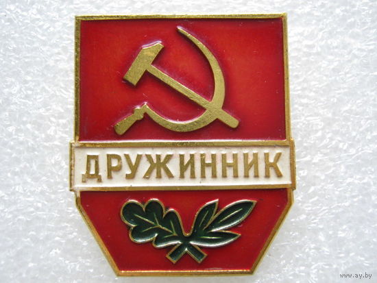 Дружинник.