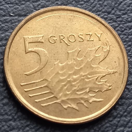 5 грошей 2013