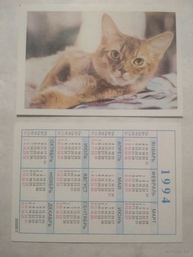 Карманный календарик. Котик.1994 год