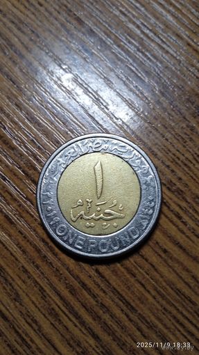 Египет 1 фунт 2019 Новые мосты Асьют.