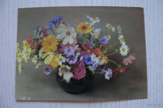 Савалов Е., Цветы; 1987, чистая.