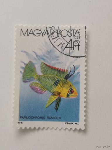 Венгрия 1987. Рыбки