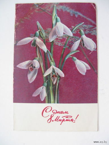 8 Марта 1970