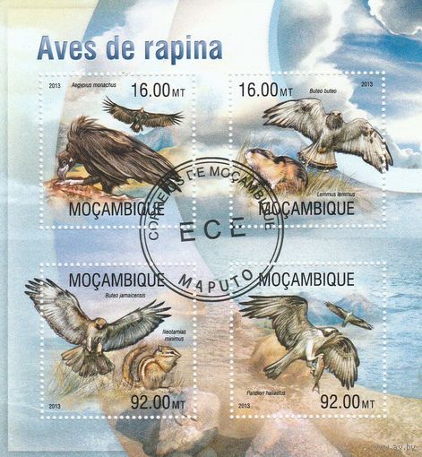 Мозамбик ,,Орлы,, 2013г