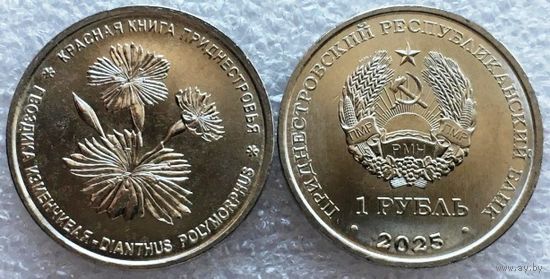 Приднестровье 1 рубль, 2025 г. "Красная книга - Гвоздика изменчивая"