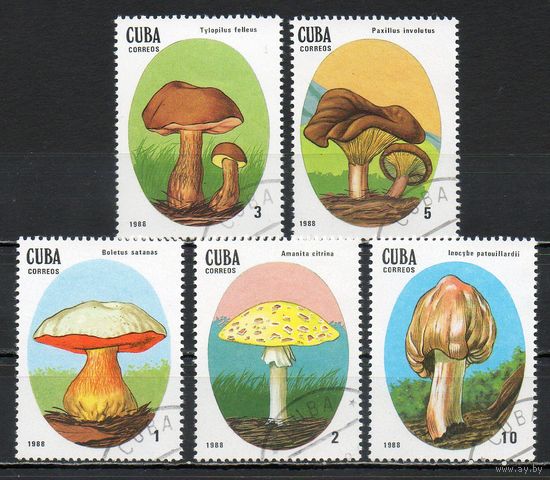 Грибы Куба 1988 год 5 марок