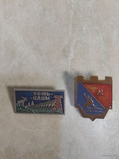 Два значка одним лотом.