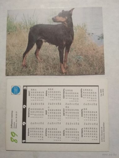 Карманный календарик. Собака.1993 год