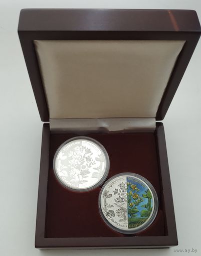Зверобой четырехкрылый, 20 рублей 2013, набор из 2-х монет, серебро, Ag 925