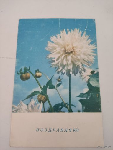 Открытка с фото К.Рыкова  1967г, подписанная