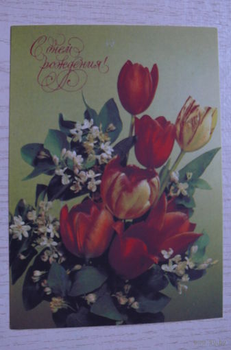 Дергилев И, С днем рождения! 1991, 1992, чистая.
