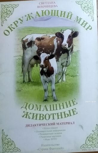 ДОМАШНИЕ ЖИВОТНЫЕ. ОТЛИЧНЫЙ НАБОР ДЛЯ РАЗВИТИЯ  ВАШЕГО РЕБЁНКА.   НЕ ИСПОЛЬЗОВАЛСЯ.