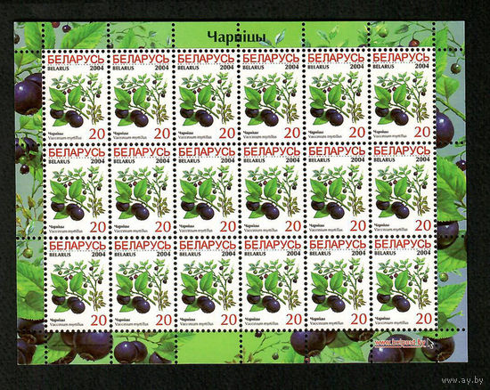 Беларусь. 2004. Стандарт. Черника 20р. Лист 6х3