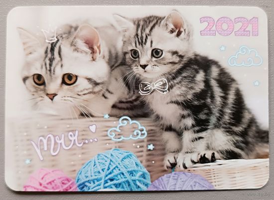 Котята. Календарик, 2021