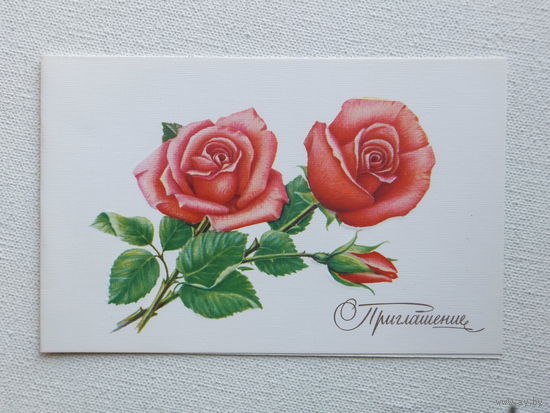 Терентьев цветы 1992  9х14 см