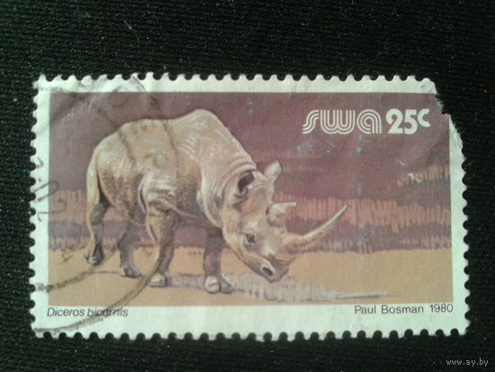 Юго-западная Африка, 1980. Носорог