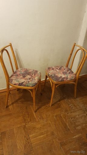 Пара чешских стульев Татра