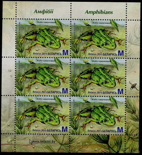 Беларусь 2015 #1091. Малый лист Лягушка прудовая (6M)