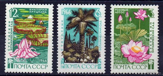 СССР 1966. Флора. Сухумский ботанический сад. Полная серия 3 марки **
