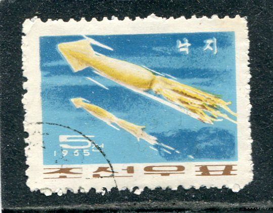 КНДР. Морская фауна