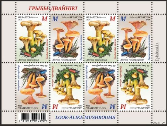 2024г Беларусь MNH  Малый лист "Грибы-двойники"
