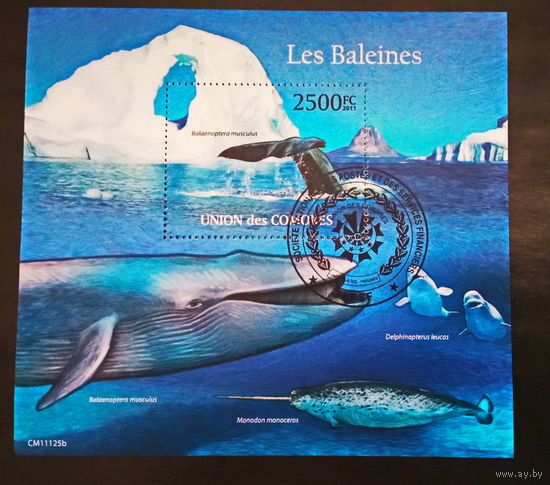 ЛИСТ ФАУНА рыбы морские обитатели  СТО