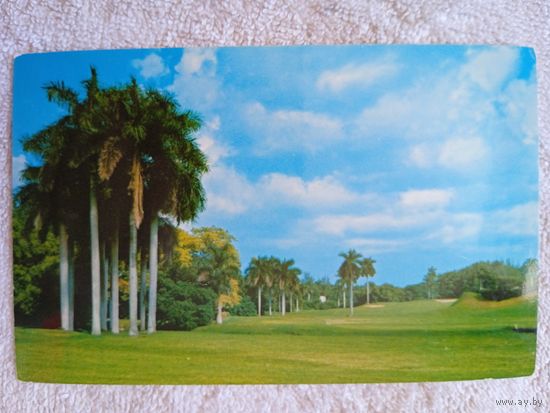 Куба, Гавана. Загородный клуб, где проводятся в том числе мировые чемпионаты по гольфу