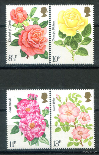 Великобритания - 1976г. - кустовые розы - 4 марки - полная серия, MNH, номинал 11 с маленьким пятнышком на лицевой стороне, 13 с незначительным дефектом клея [Mi 711-714]. #3-GB-Z-1-8