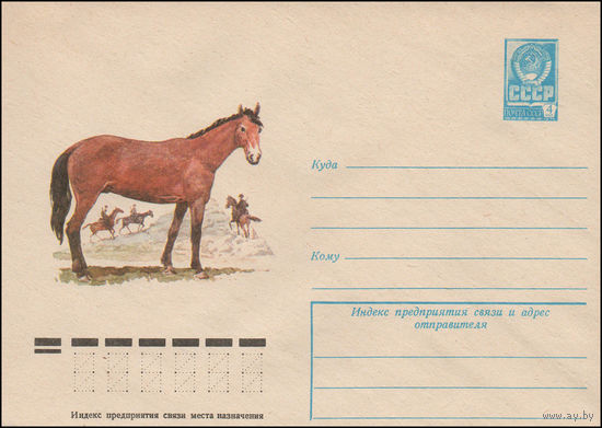 Художественный маркированный конверт СССР N 12477 (02.12.1977) Лошадь новокиргизской породы