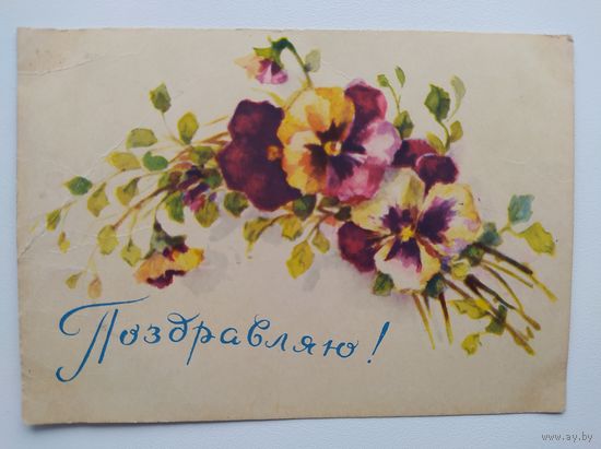 Открытка Поздравляю! Анютины глазки. Художник П. Павлов. 1957 год. Подписана!