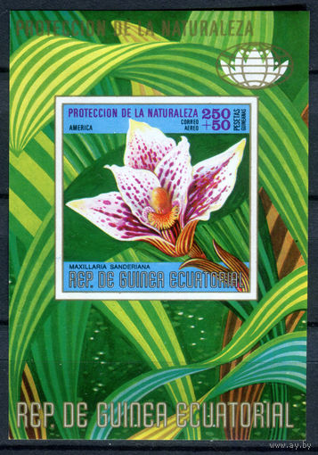 Экваториальная Гвинея - 1974г. - Североамериканские цветы и кактусы - MNH [Mi bl. 131] - 1 блок