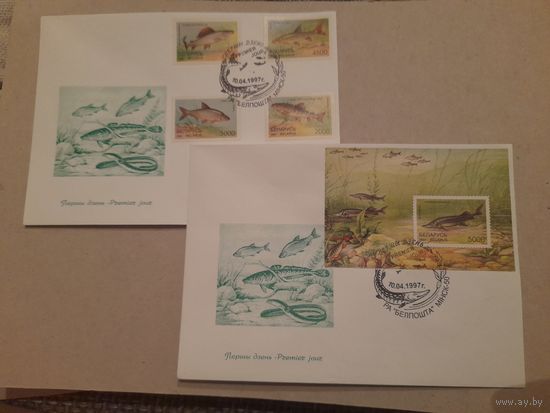 Беларусь 1997 кпд рыбы