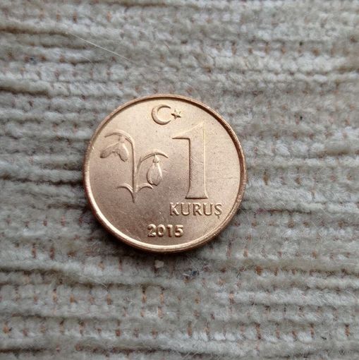 Werty71 Турция 1 куруш 2015