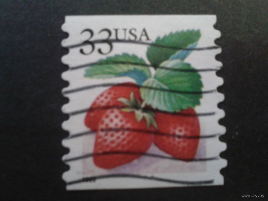 США 1999 стандарт, клубника