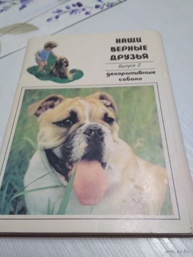 Наши верные друзья. Выпукс 2. Декоративные собаки.