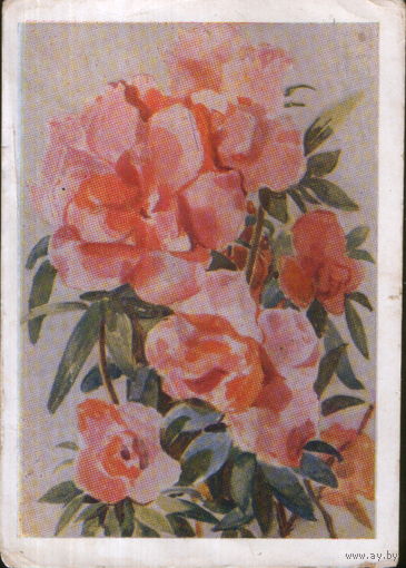 Подписанная открытка 1958г. "Цветы" худ. Д. Астапова