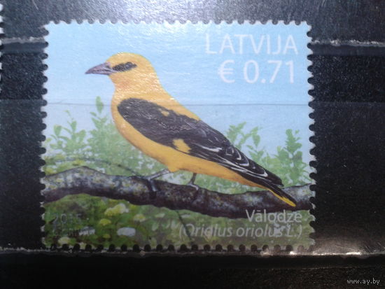 Латвия, 2015. Иволга